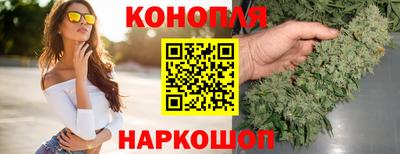 гидра Кандалакша