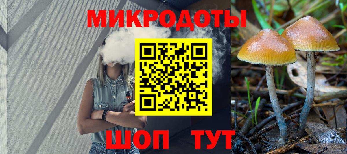 Псилоцибиновые грибы прущие грибы  Вход с VPN  Тула 