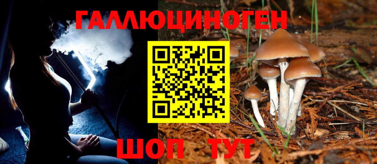 Галлюциногенные грибы Psilocybe Тула